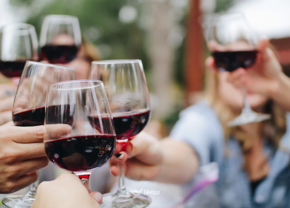 Tour tra vigneti e cantina con 5 degustazione e abbinamento con piatti tipici