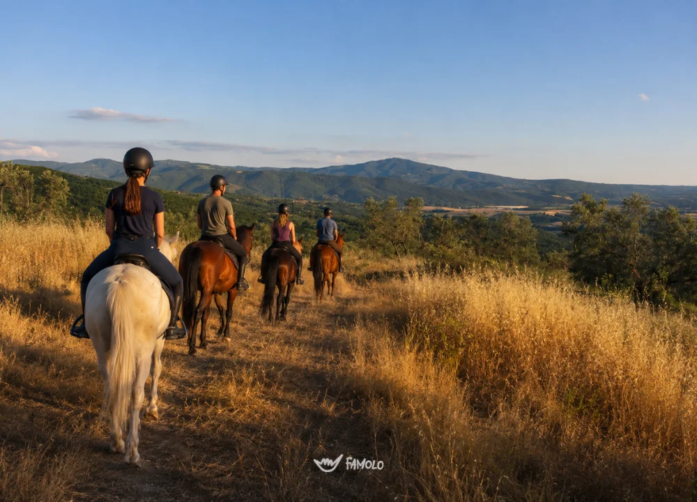 Lezione di equitazione per principianti: impara ad andare a cavallo