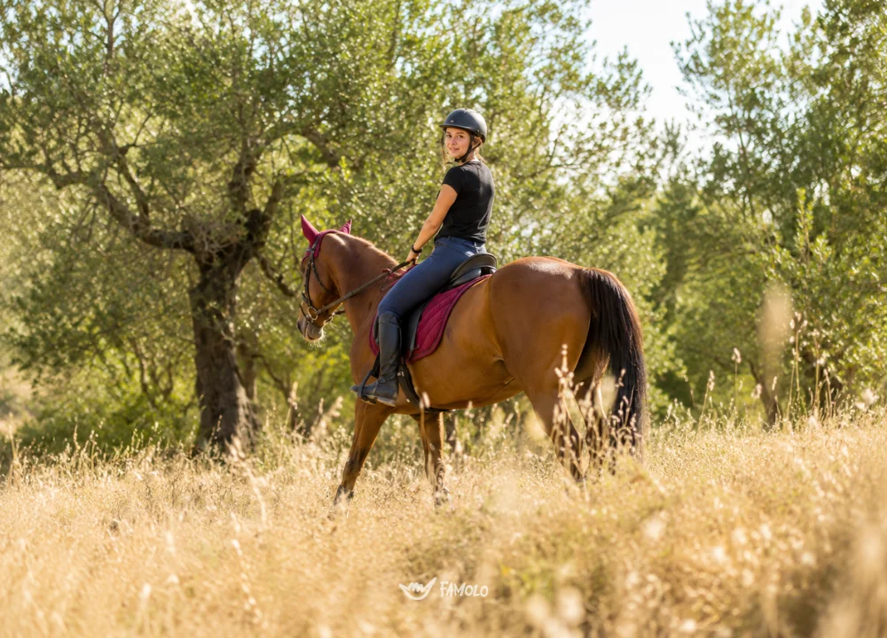 Passeggiata a cavallo con vista sul Lago Trasimeno