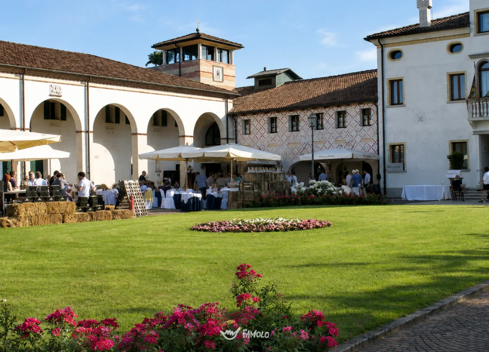 Degustazione vini con visita in cantina e tagliere tipico in Veneto